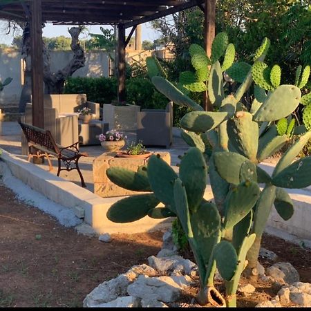 B&B Masseria Nova 托雷圣乔万尼乌 外观 照片