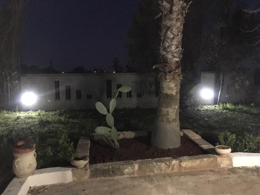 B&B Masseria Nova 托雷圣乔万尼乌 外观 照片